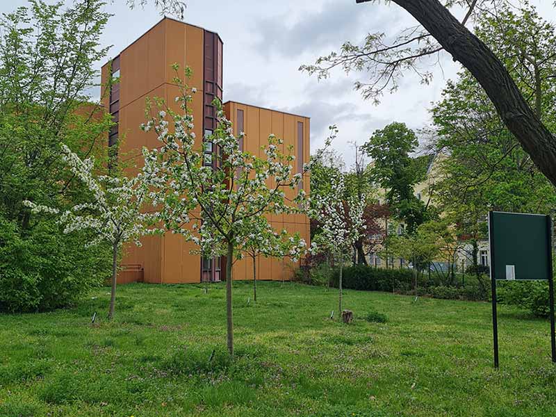 2024 04 streuobstwiese 2s