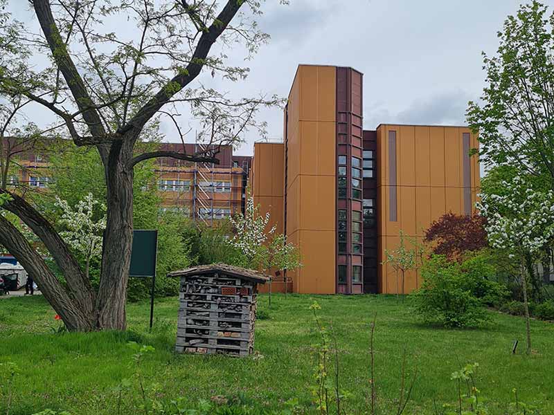 2024 04 streuobstwiese 3s