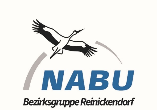 logo nabu