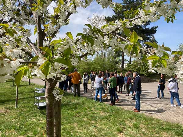 fest streuobstwiese 2