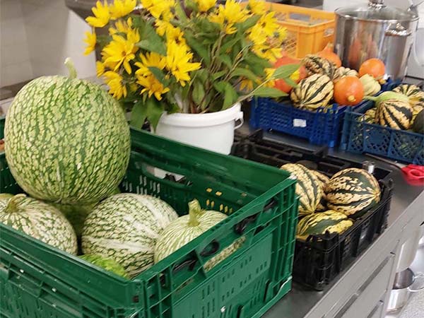 2022 12 schulgarten 2s