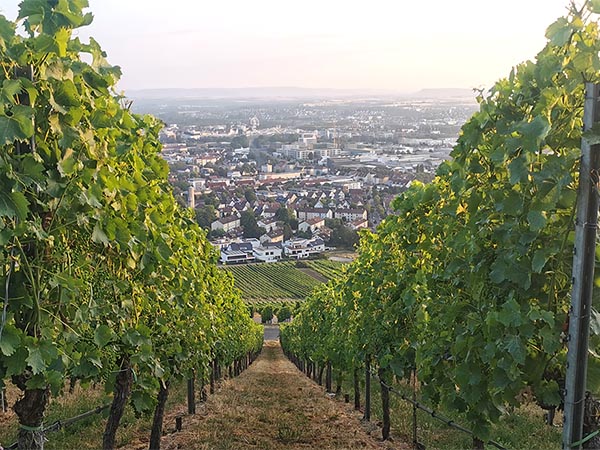 2023 07 studienfahrt 12s