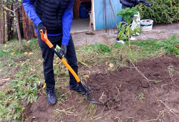 2023 11 partnergeld umweltschule 1