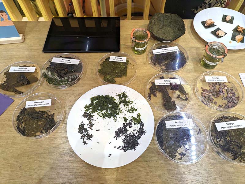 2022 01 gruene woche 4s