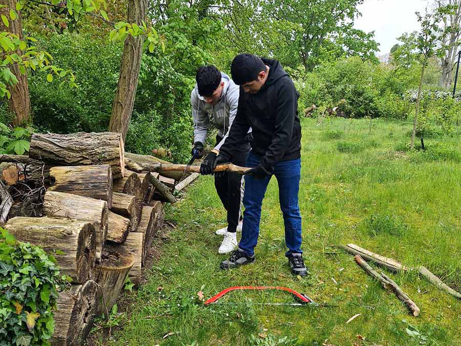 2024 05 artenvielfalt 3s