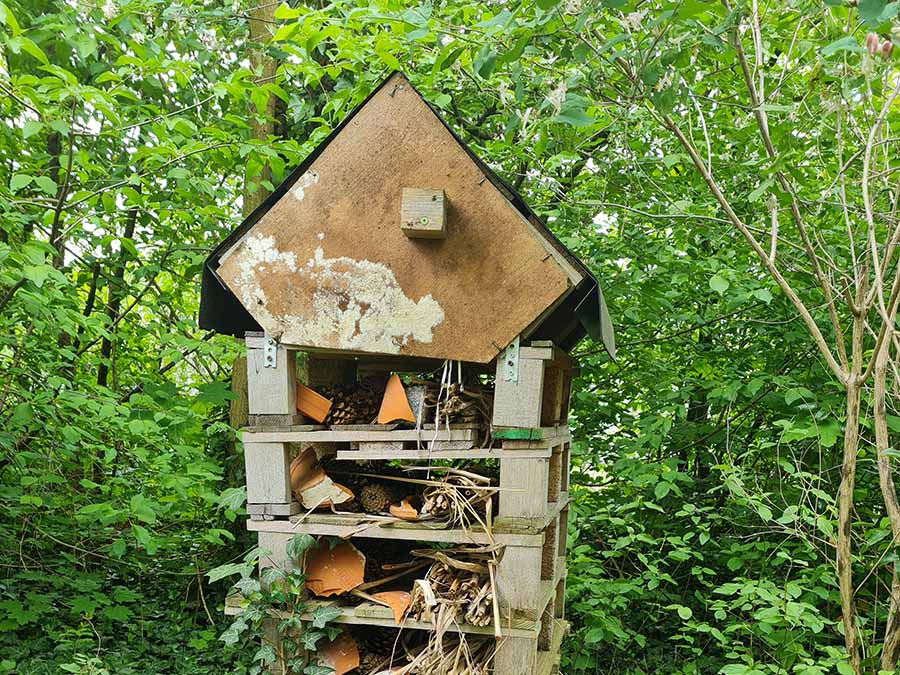 2024 05 artenvielfalt 5s