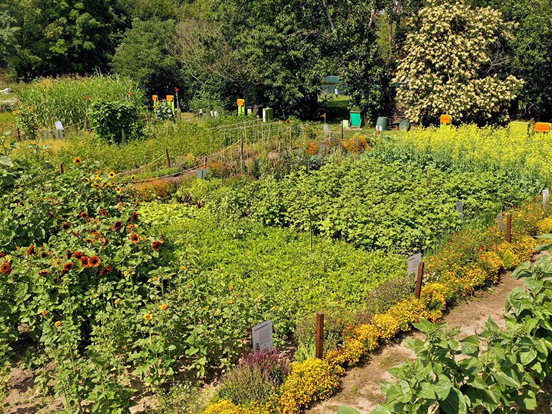 2024 06 weltacker 1s