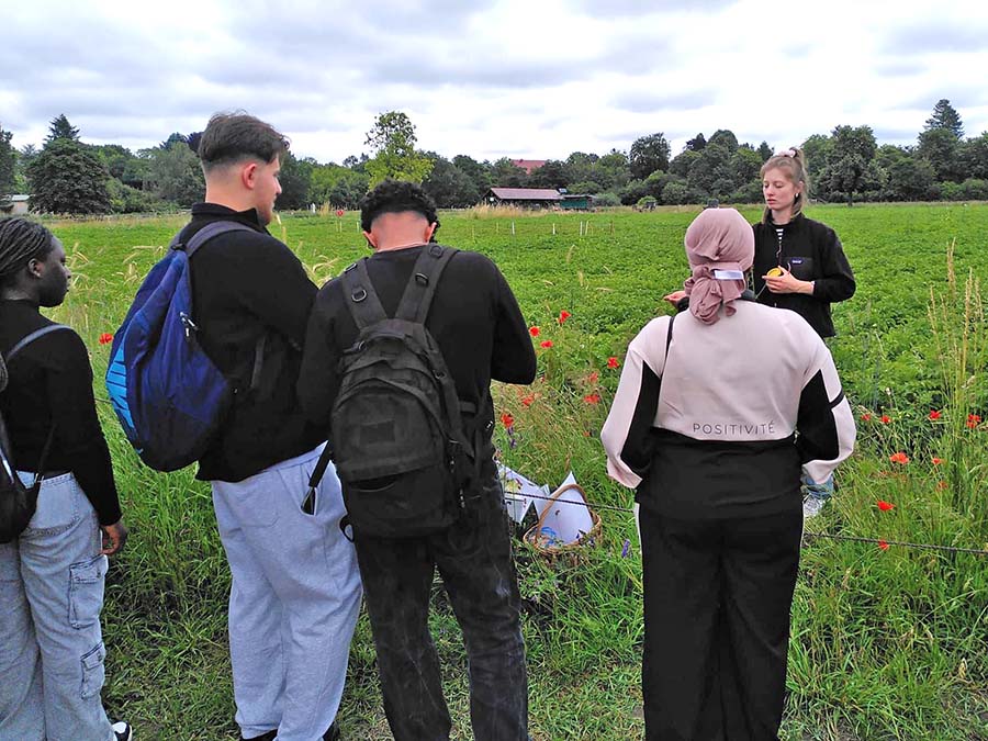 2024 06 wkk domaene dahlem 01s