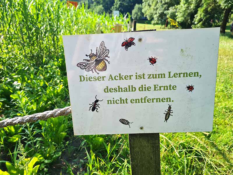 2024 07 10 weltacker 01s