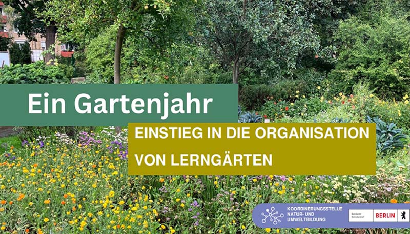 2025 11 fb schulgarten 1s