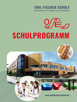 efs schulprogramm 2017